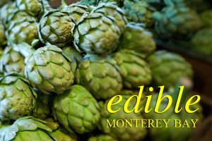 Artichoke_yellow