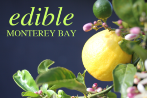 Lemon_with_green