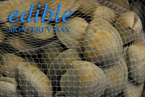 clams_new_blue