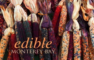 indian_corn1