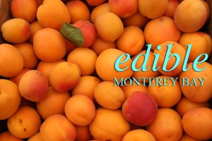 myapricots