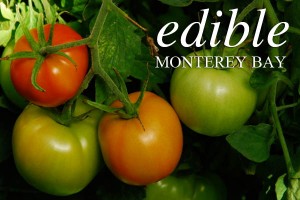tomatoes_newsletter