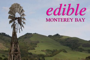 watsonville_magenta