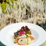 Asilomar Salad