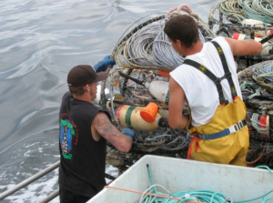 CFR Crab Gear Recovery Project