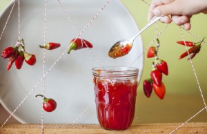 HGKPepperJelly©Magdalena20146714