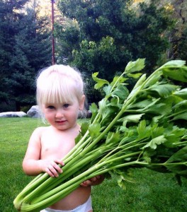 Danica Draper with Utah Tall celery