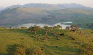 homePixReservoir