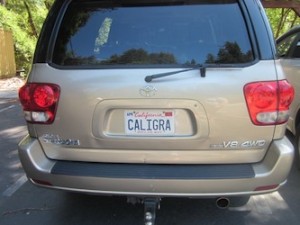 CaligraLicensePlate