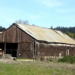 haybarn-536
