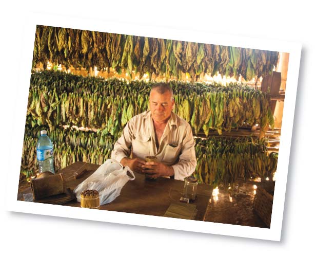travelPostcardCuba5