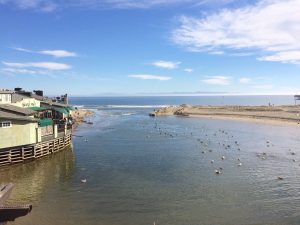 The beautiful view from upcoming Sotola Restaurant