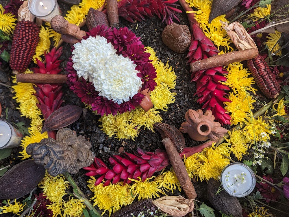 Found Treasure: The Xocolatl Garden - Edible Monterey Bay