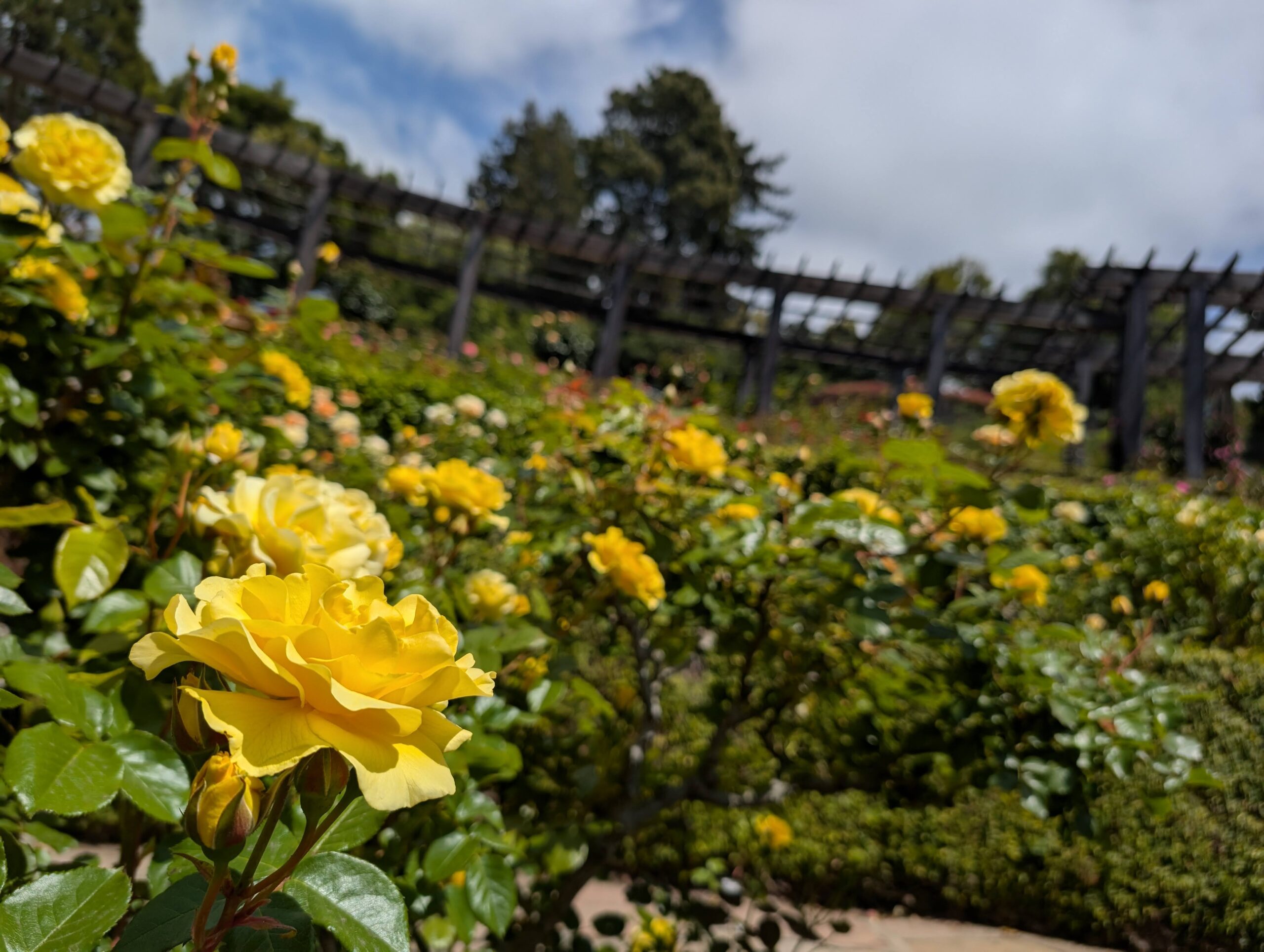Found Treasure(s): Zen Cooking and The Scent Museum – Edible Monterey Bay