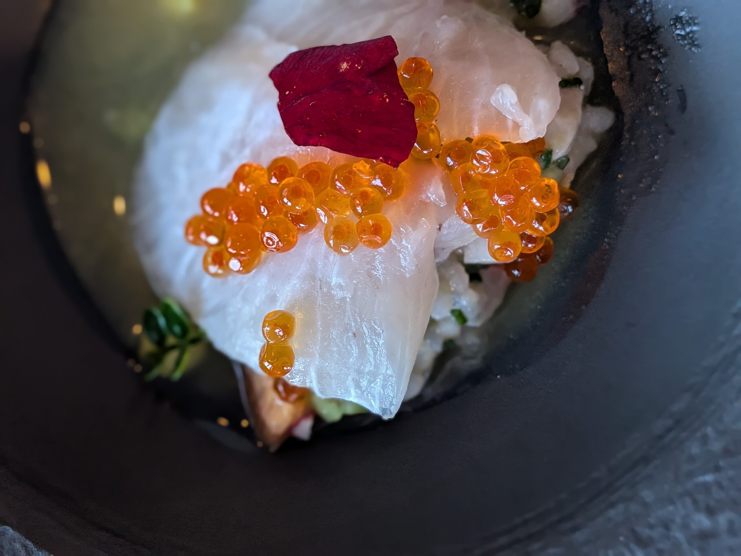 Found Treasure: Coastal Kitchen Seafood (+ Fly Happy Hour + Staycation Levitation)
