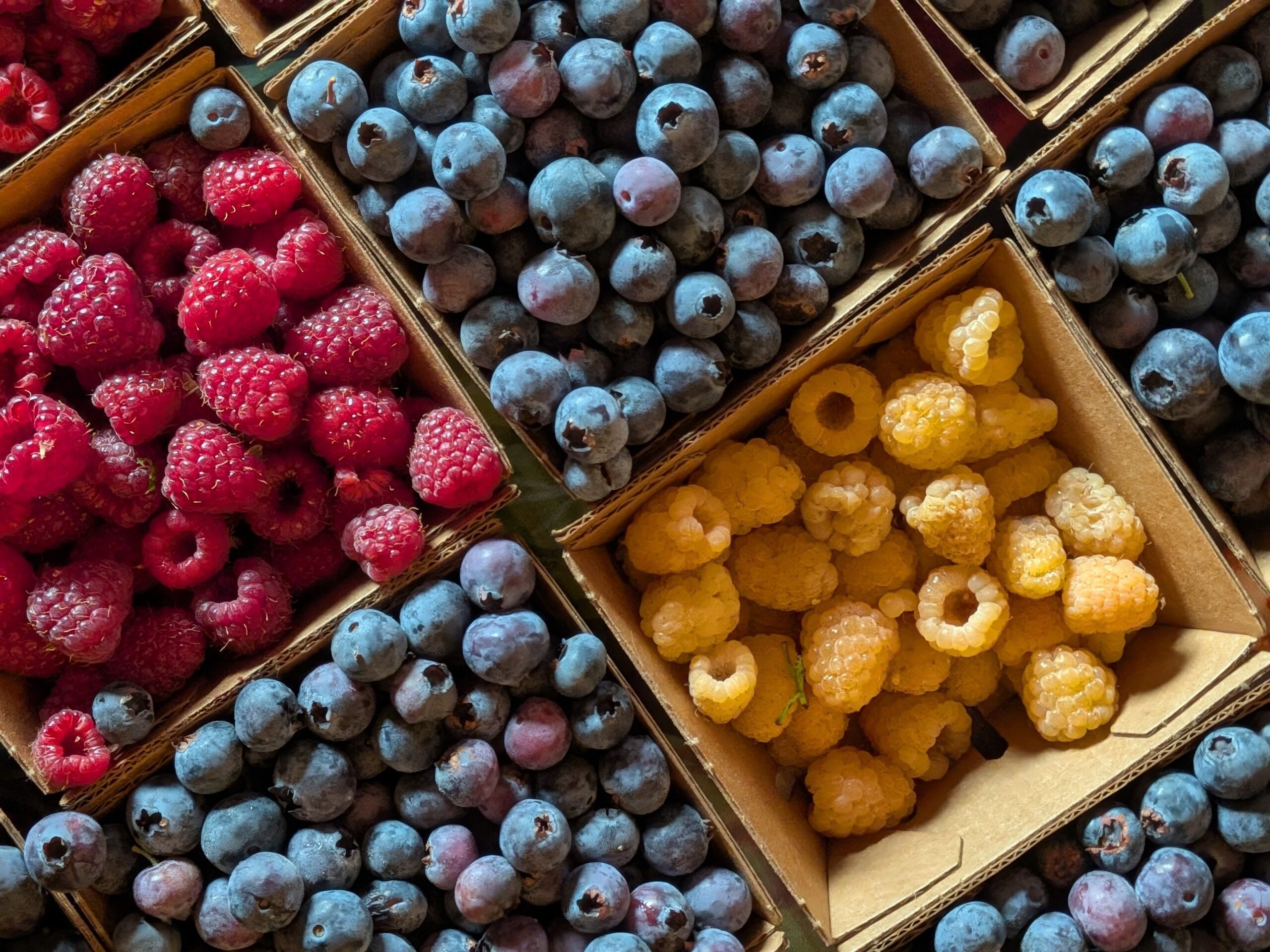 Rally Coming at Driscoll's as Berry Company Ups Response