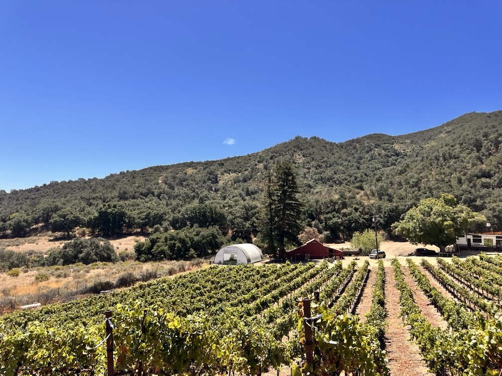 Meet SLH's Newest Grower, Leo Cortez of Cortez Vineyard