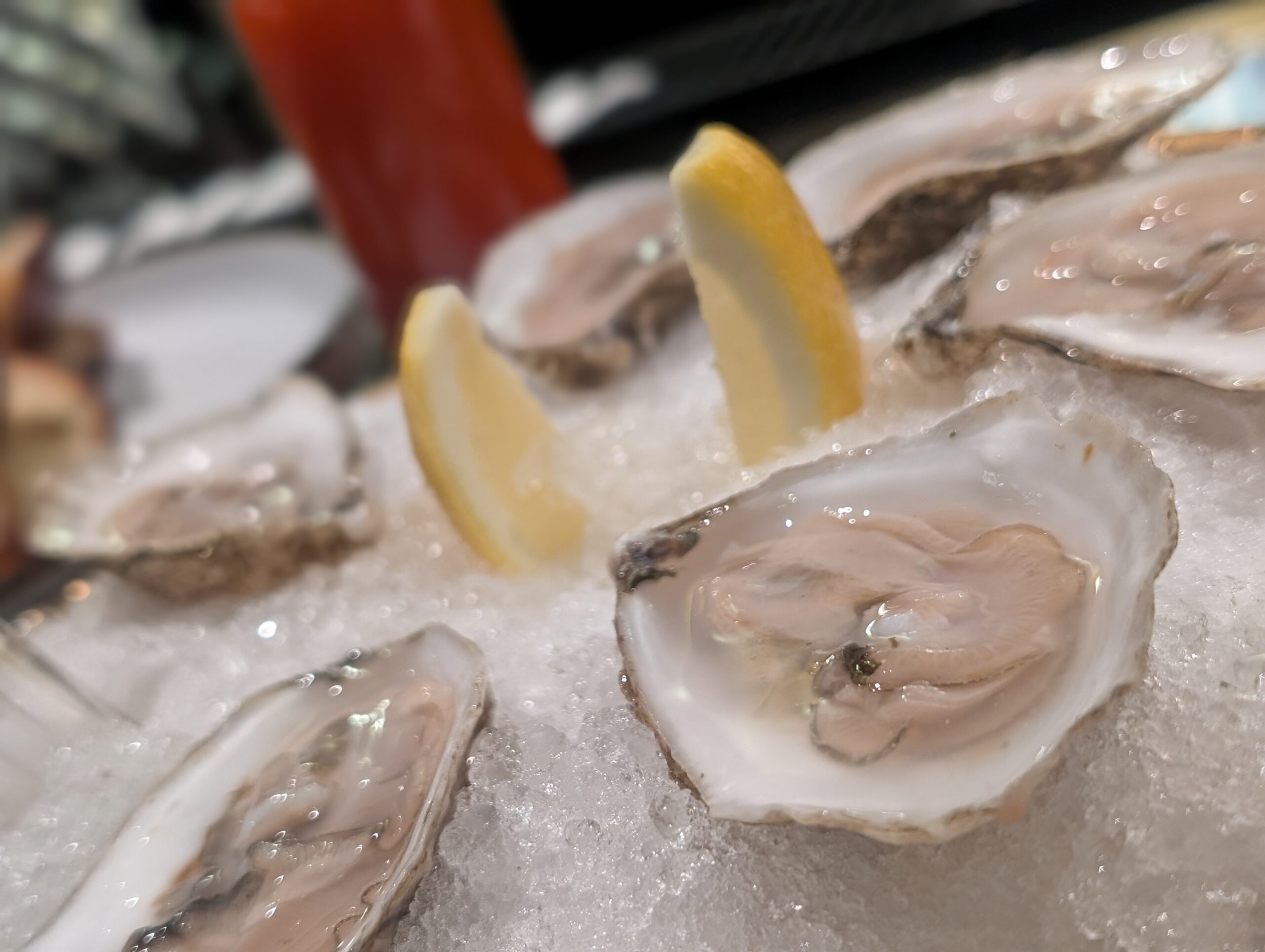 Found Treasure: Mane Oysters and Margaritas + Salmon Salvation