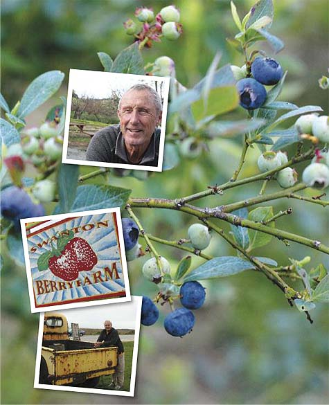 Berry men: Top to bottom, Gizdich Ranch’s Vince Gizdich and Swanton Berry Farm’s Jim Cochrane