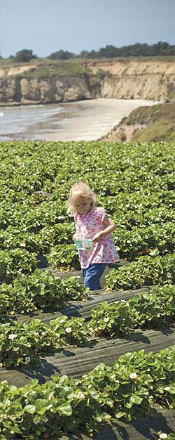 child in a field