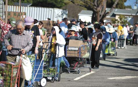 food bank line