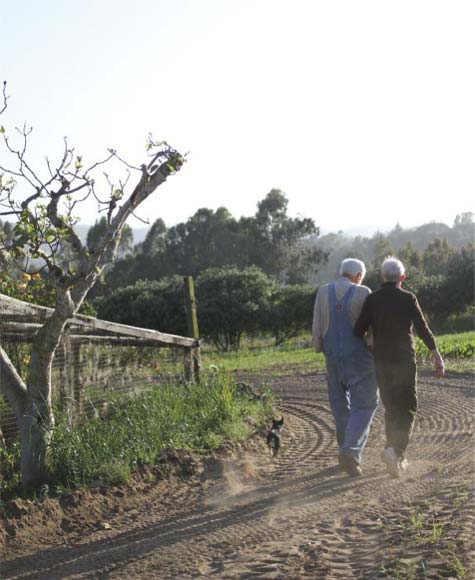 farm