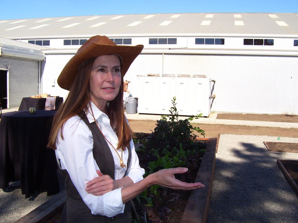 Owner_Kelly_Sweeney_talks_about_Sweet_Earths_products_and_vision